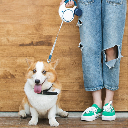Aero™ | Uittrekbare Hondenriem