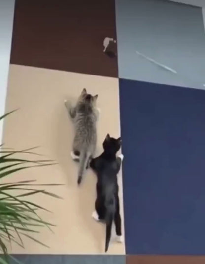 ScratchGuard™ | Zelfklevende Krasmat voor Katten