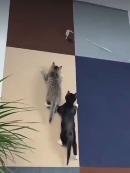 ScratchGuard™ | Zelfklevende Krasmat voor Katten